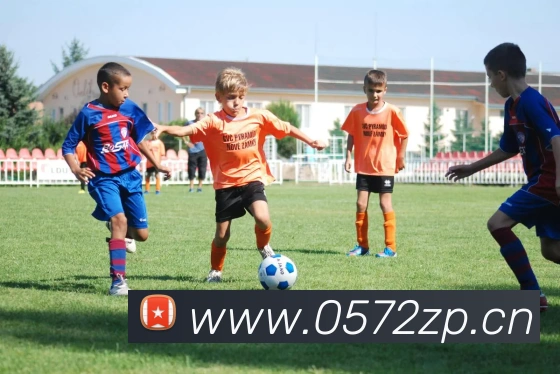 乐竞官网网页版入口平台生态图